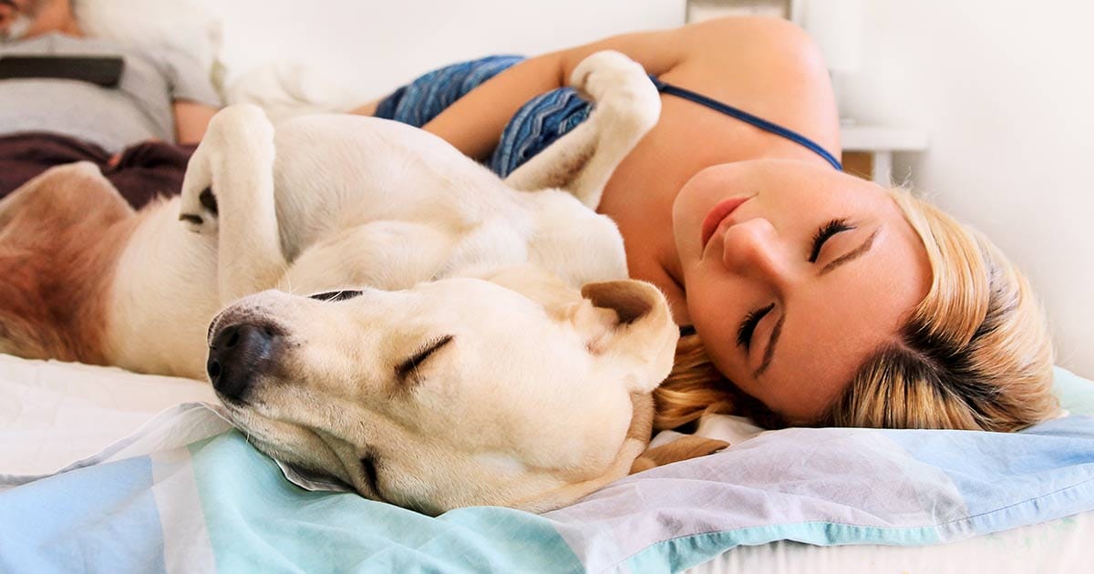 Dormir avec son chien fait du bien