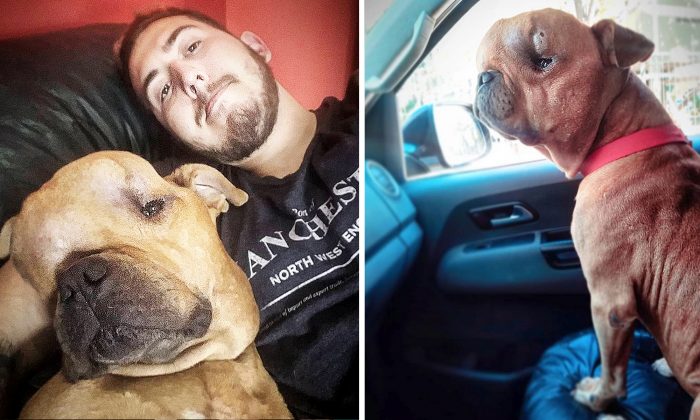 L’homme adopte un chien atteint d’une tumeur pour qu’il soit entouré d’un amour inconditionnel jusqu’à la fin