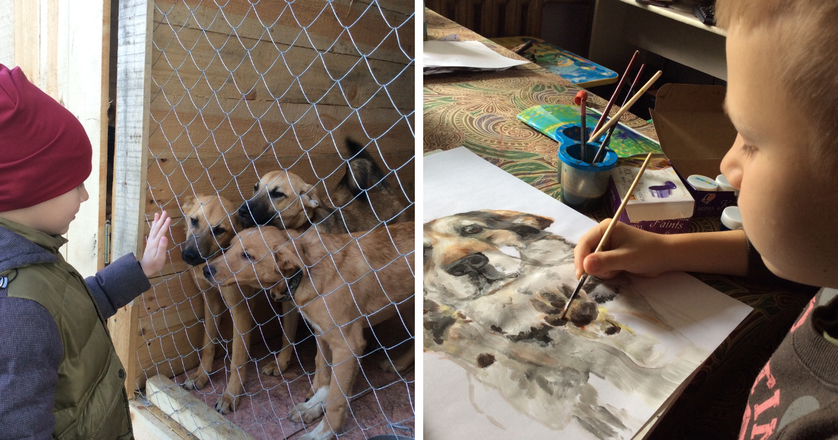 Un garçon peint des tableaux, les vend et utilise l’argent pour aider des chiens dans le besoin