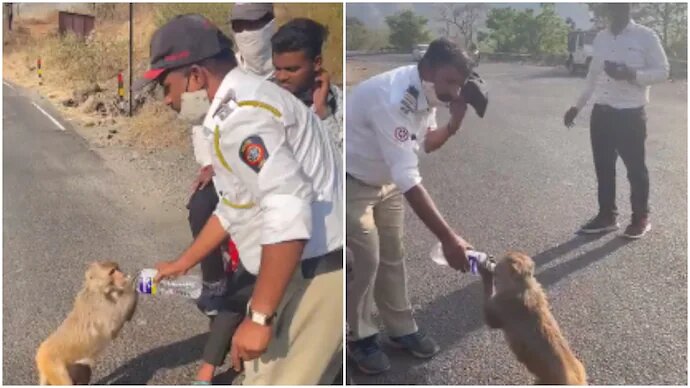 Un policier s’arrête en pleine journée de travail pour donner à boire au bébé singe